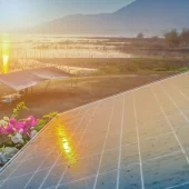 vietnamsnewsolar_social